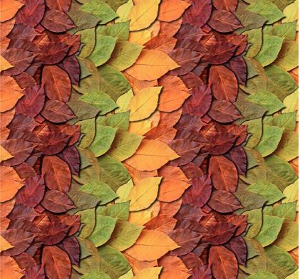 Ripple Quilt Backing Kit