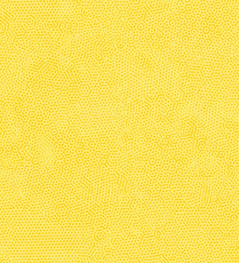 Dimples Sunny by Gail Kessler from Andover Fabrics