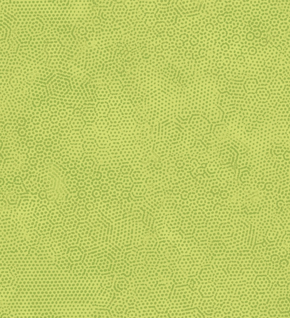 Dimples Sprig by Gail Kessler from Andover Fabrics
