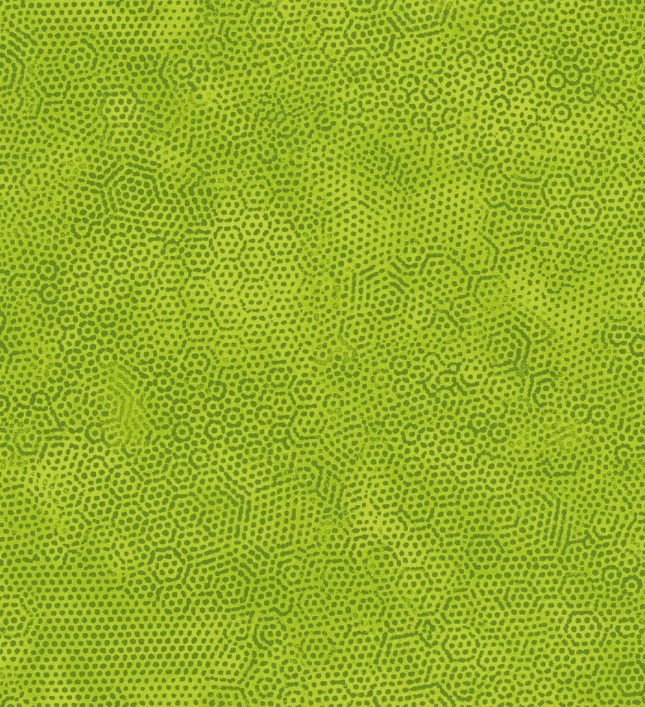 Dimples Acid by Gail Kessler from Andover Fabrics