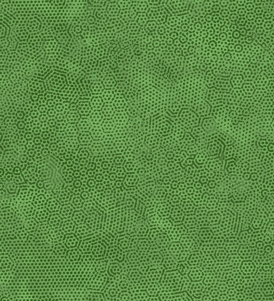 Dimples Fern by Gail Kessler from Andover Fabrics