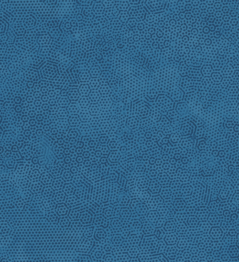 Dimples Blue Danube by Gail Kessler from Andover Fabrics