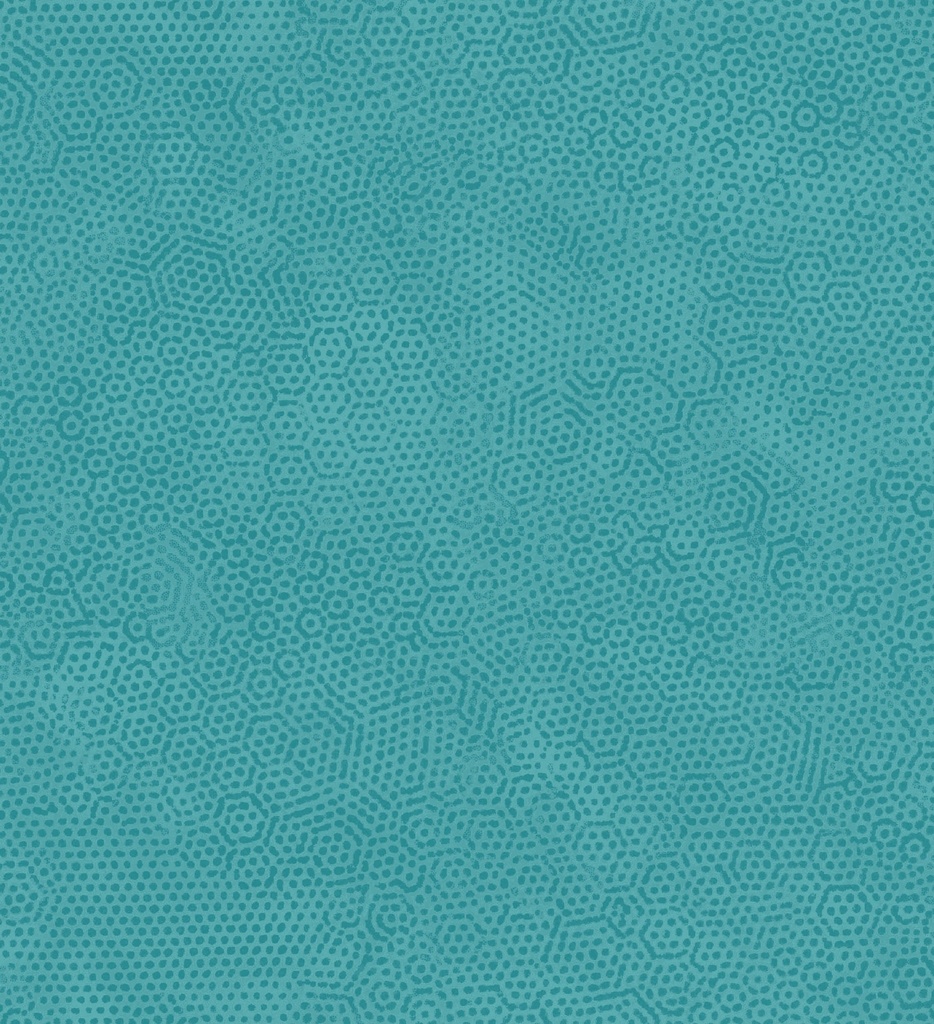 Dimples Keppel by Gail Kessler from Andover Fabrics
