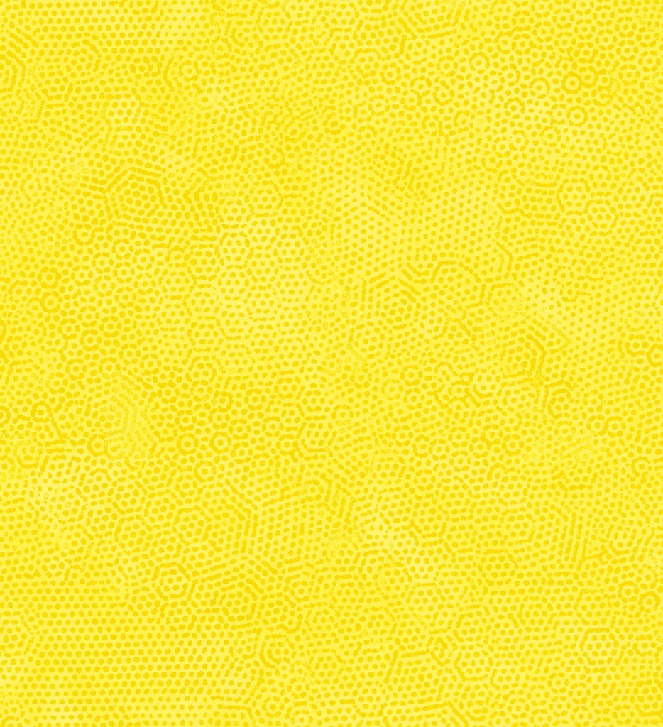 Dimples Nugget by Gail Kessler from Andover Fabrics