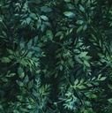 Big Foot Leafy Hunter Bali Batik from Hoffman Fabrics