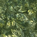 Big Foot X-Ray Leaves Tavarua Bali Batik from Hoffman Fabrics