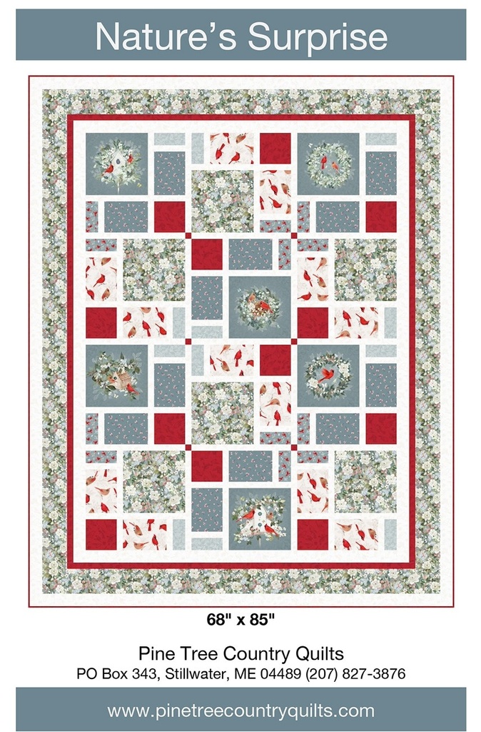 Nature's Surprise Block Panel Frame Quilt Pattern