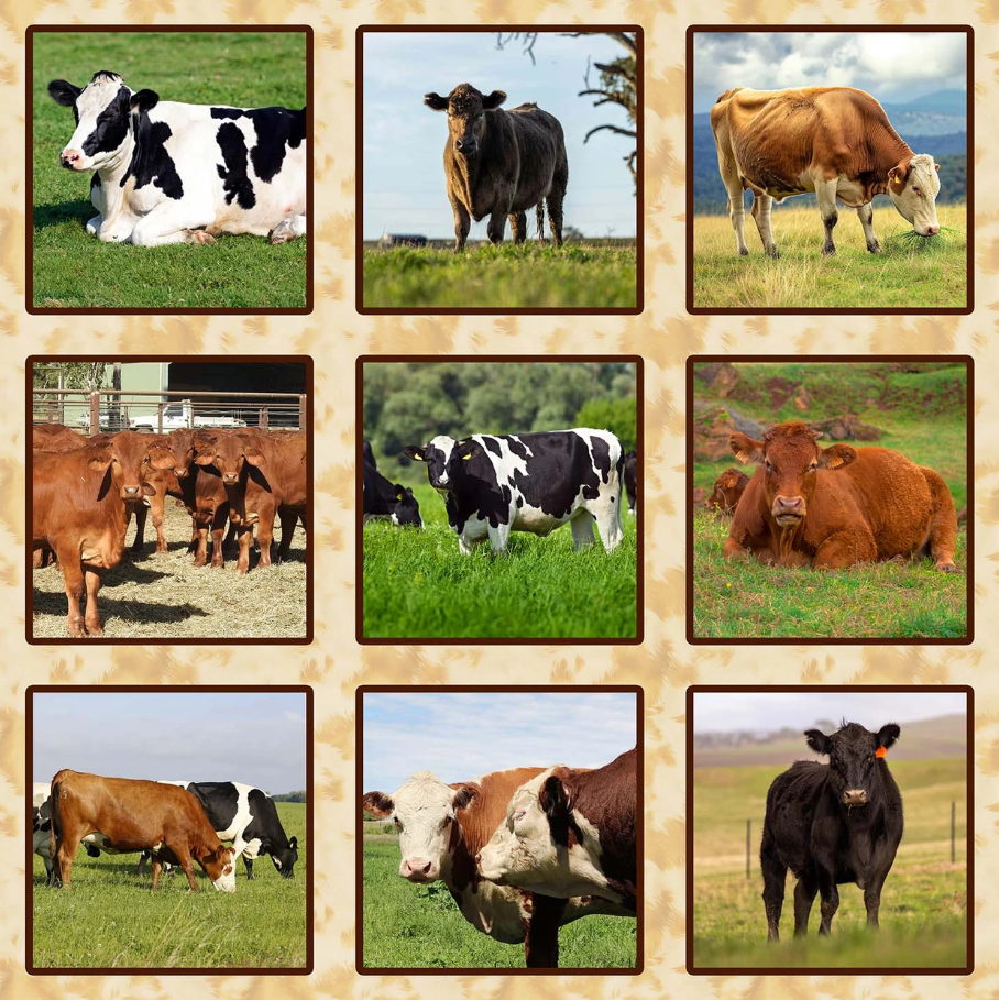 Homestead Bovine Mixed Breeds Large Panel from KK Fabrics