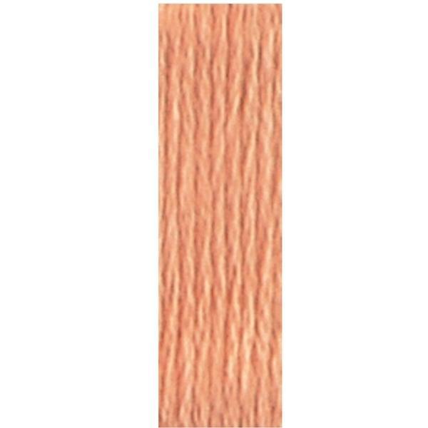 Dmc 6 Strand Embroidery Floss, Terra Cotta