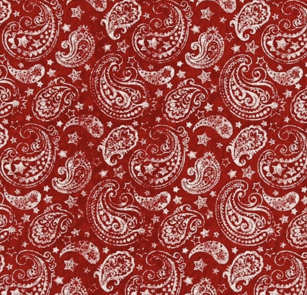 Colors of Freedom Paisley from Wilmington Prints