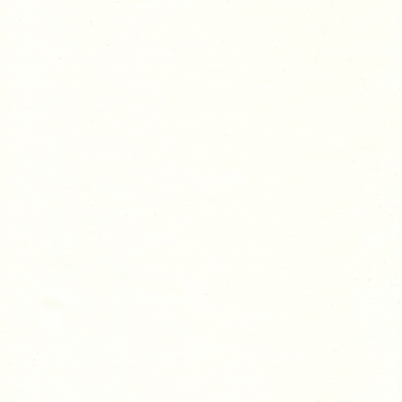 Bodacious Blacks Batik White