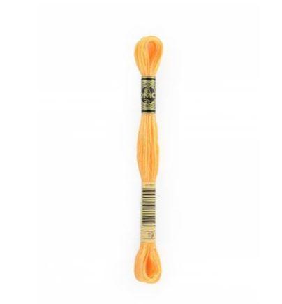 Dmc 6 Strand Floss Color 19, Light Autumn Gold