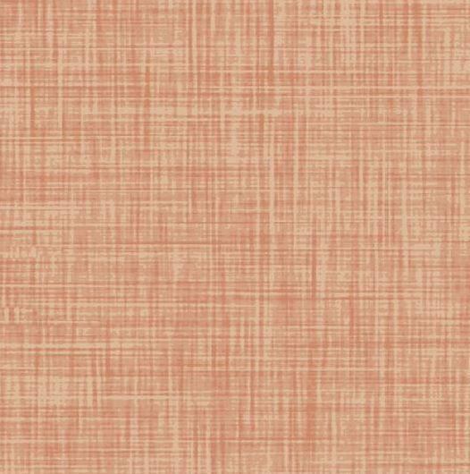 Salmon Texture From Color Weave 4