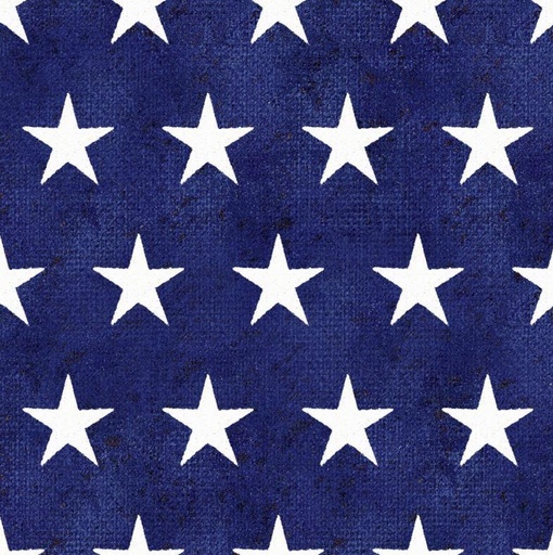 [TW-16064-B] American Spirit Stars Blue By 3 Wishes Fabric