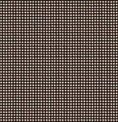 [RB-9666Charcoal] Snow Sweet Painted Gingham Charcoal From Riley Blake