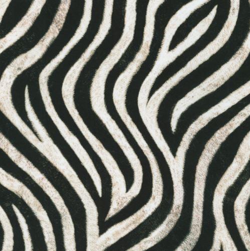 [KAF-19876-286] Animal Kingdom Zebra From Robert Kaufman