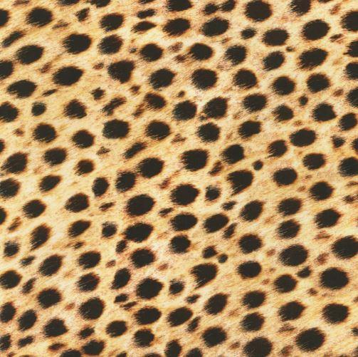 [KAF-19871-286] Animal Kingdom Cheetah from Robert Kaufman