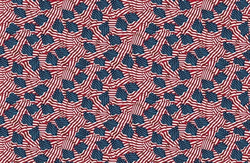 [NOR-24284-49] Stars & Stripes Waving Flags Packed From Northcott