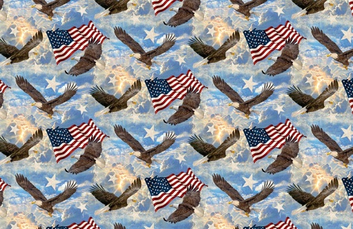 [NOR-DP24281-44] Stars & Stripes Soaring Eagles  from Northcott