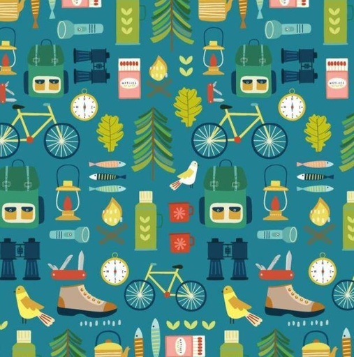 [HOBB-1749] Hobbies Camping Supplies Teal From Dashwood Studio