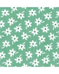 [KAF-20490-36] Baskets Of Blooms Daisies Aloe By Darlene Zimmerman