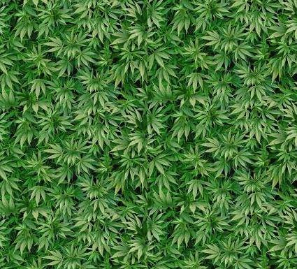 [TTR-8884] Mini Cannabis From Timeless Treasures
