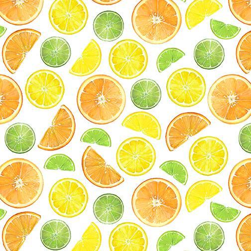 [B-1880-01] Fruit For Thought Fruit Slices From Blank Quilting Corp