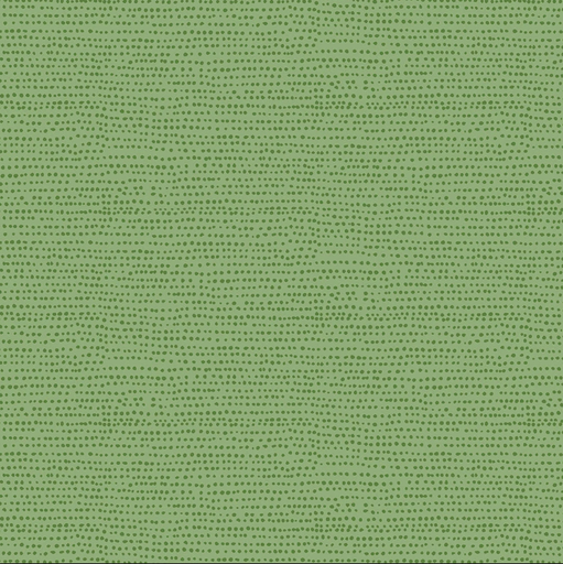 [DS-1150-Kiwi] Moonscape Kiwi from Dear Stella