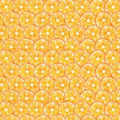 [WP-42467-851] Squeeze The Day Citrus Slices Orange By Cynthia Coulter For Wilmington Prints