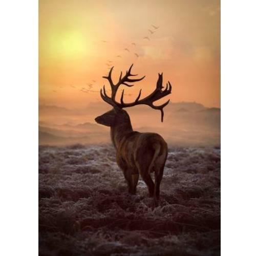 [HOF-4957-151] Call Of The Wild Sunset Panel, Digitally Printed, From Hoffman