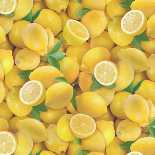 [ES-483YELL] Food Festival Lemons Yellow From Elizabeth'S Studiol