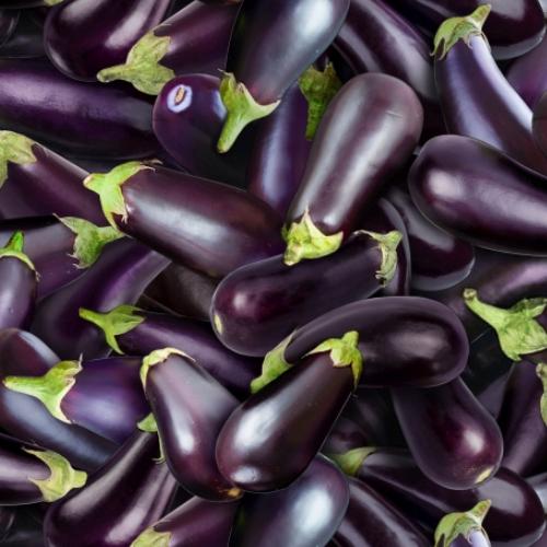 [ES-634PURPLE] Food Festival Eggplant From Elizabeth Studio