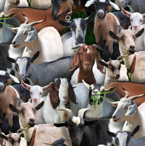 [ES-434BLK] Farm Animals Goats Black by Elizabeth's Studio