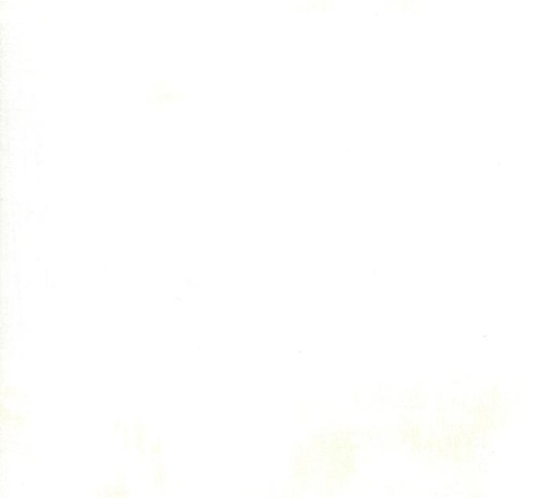 [MOD-30150-531] Grunge Basic Eggshell from Moda Fabrics