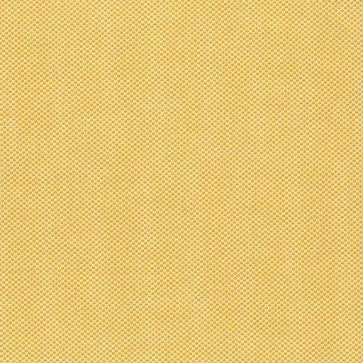 [AND-386-O] Indigo Cheddar Check Cheddar By Andover