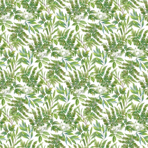 [NOR-24922-10] Morning Blossom White/Green By Michel Design Works For Northcott