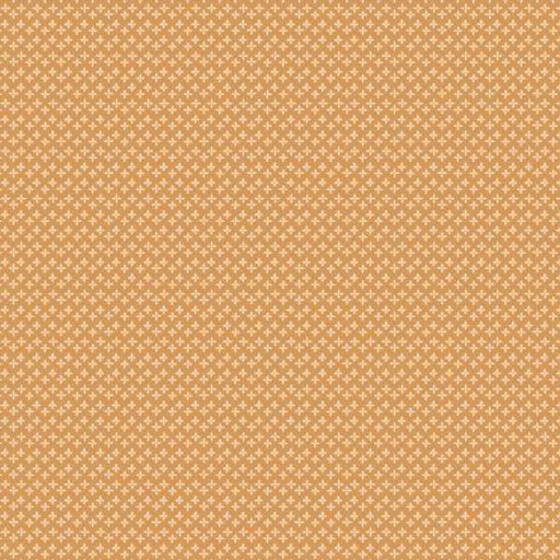 [RB-12852-CIDR] Calico Daisy Cider By Lori Holt For Riley Blake Designs