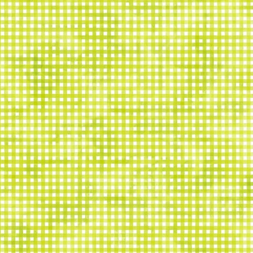 [PB-4985-A] Gingham Lime From The Sorbet Collection By P&B Textiles