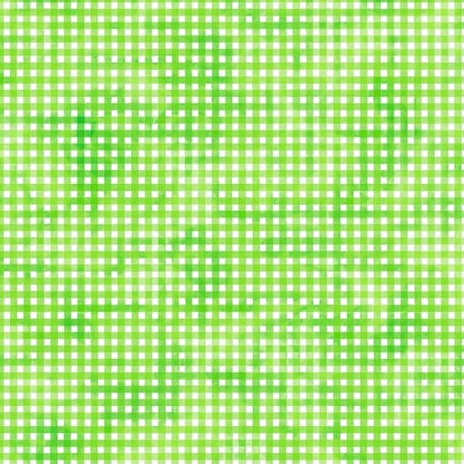 [PB-4985-G] Gingham Green from the Sorbet Collection by P&B Textiles