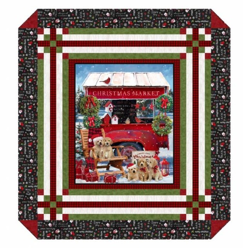 [NOR-PTN-3090] Golden Gifts Panel Quilt Pattern