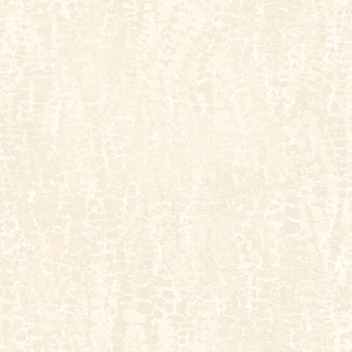 [BLAN-1178-41] Chameleon Texture Ivory from Blank Quilting