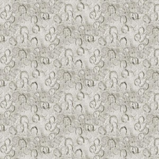 [NOR-26814-93] Stallion Light Gray Hoof Texture By Elise Genest For Northcott