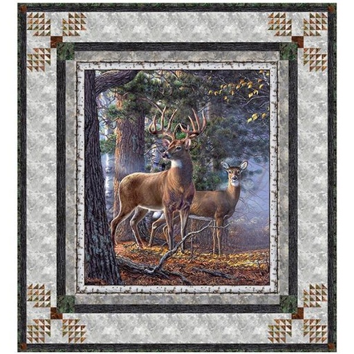 [PP-ForestFrame] Forest Frame By Northcott