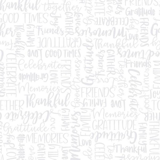 [EES-MAS9202-WW] Celebration Celebration Words White On White By Kimberbell For Maywood Studio 