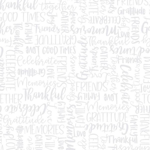 [EES-MAS9202-WW] Celebration Celebration Words White On White By Kimberbell For Maywood Studio 