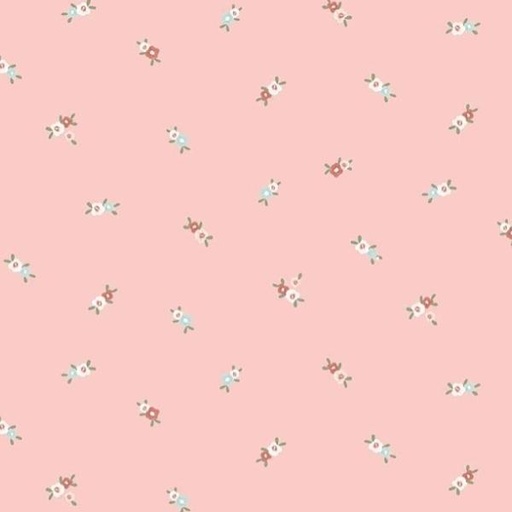 [DS-2761-APRICOT] Return Of The Jete-Ballerinas Posies By Dear Stella Collection For Dear Stella