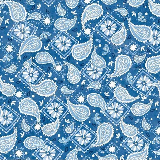 [PB-5278-B] Barnyard Babies Blue Paisley