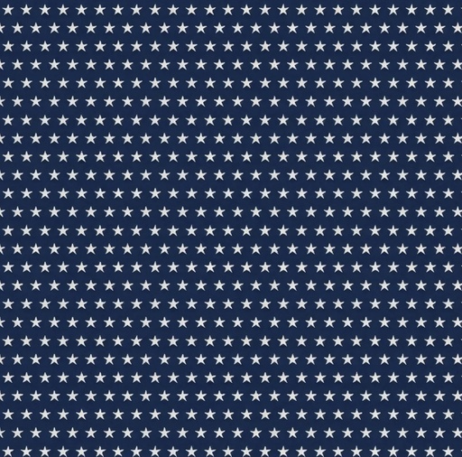 [WP-84479-411] Hearts Anthem Blue Stars Allover from Wilmington Prints