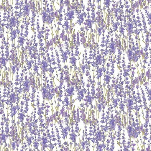 [COW-4062-1] Enjoy The Little Things Lavender White by Dan DiPaolo for Clothworks