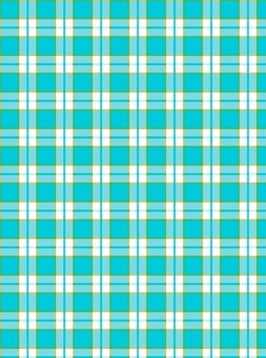 [SEF-T12-1] Plaid Turquoise Hand Towel From Studio E Fabrics